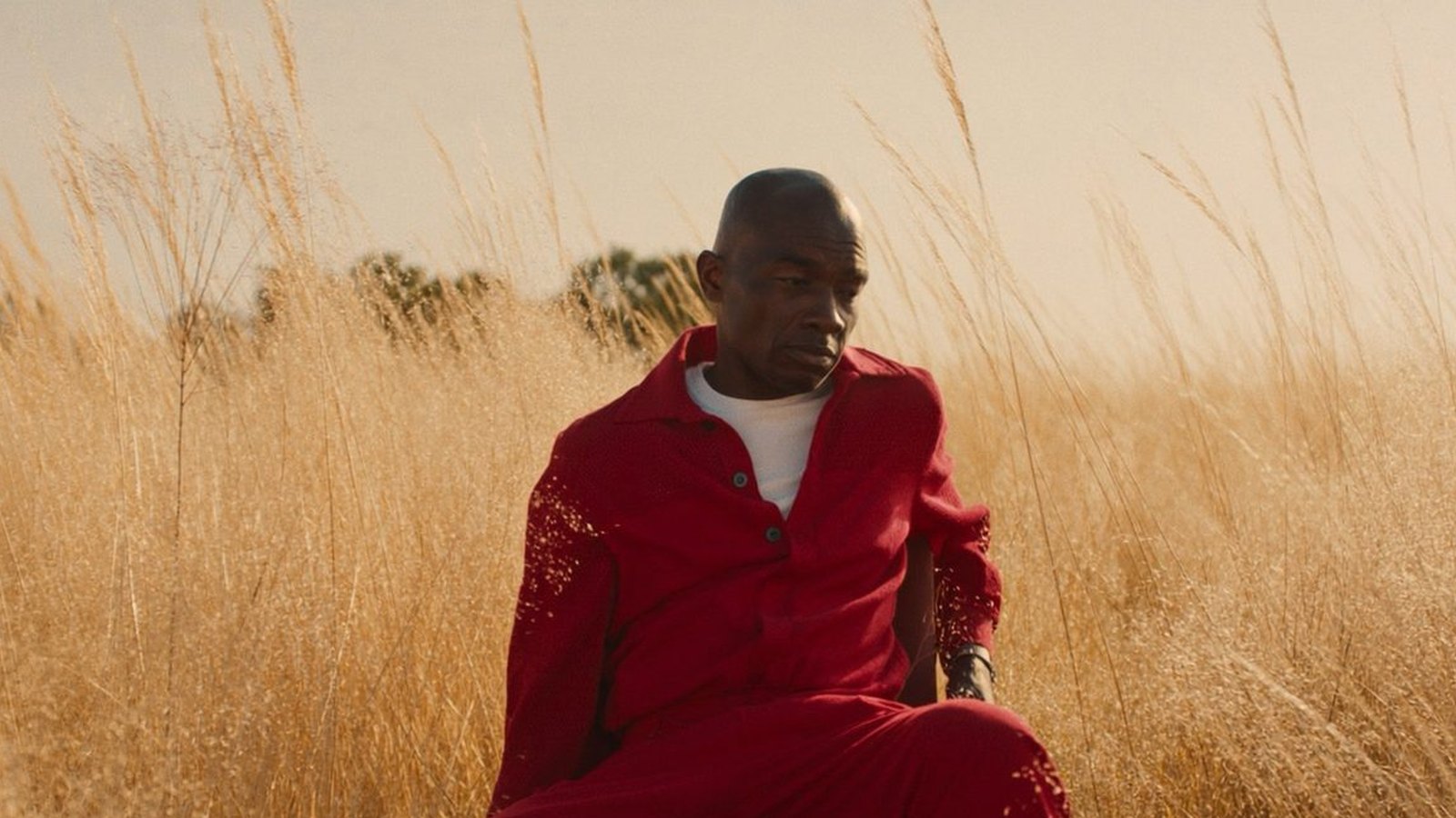 Hombre con chaqueta roja sentado en un campo de hierba alta al atardecer